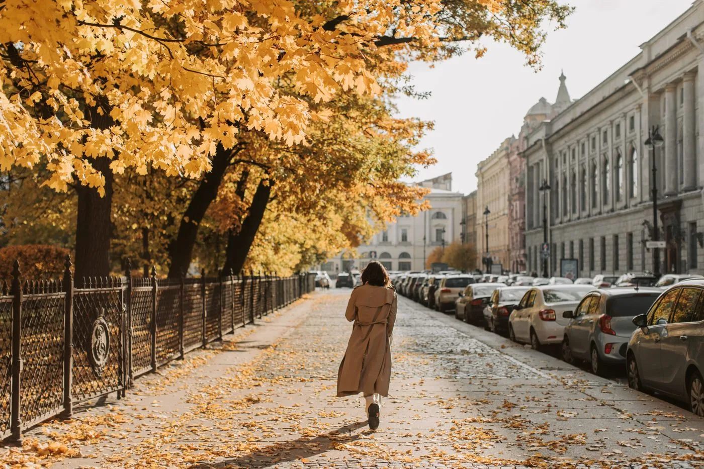A person walking along a tree-lined street with autumn leaves.